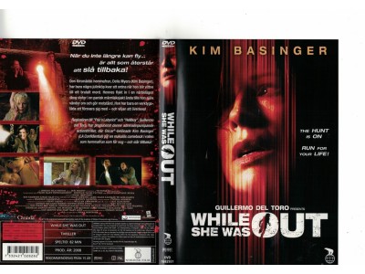 While She Was Out   DVD